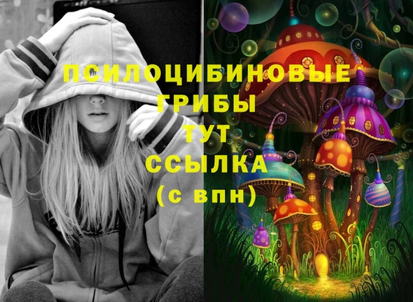 хмурый Михайлов