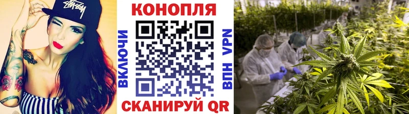 купить закладку  ссылка на мегу как зайти  Бошки Шишки семена  Чусовой 